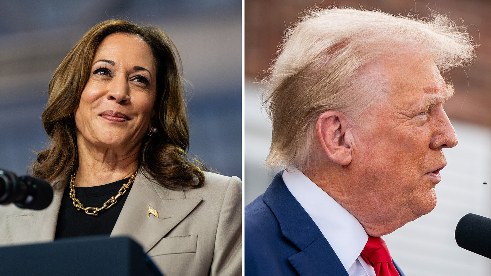 Harris and Trump Offer a Clear Contrast on the Economy